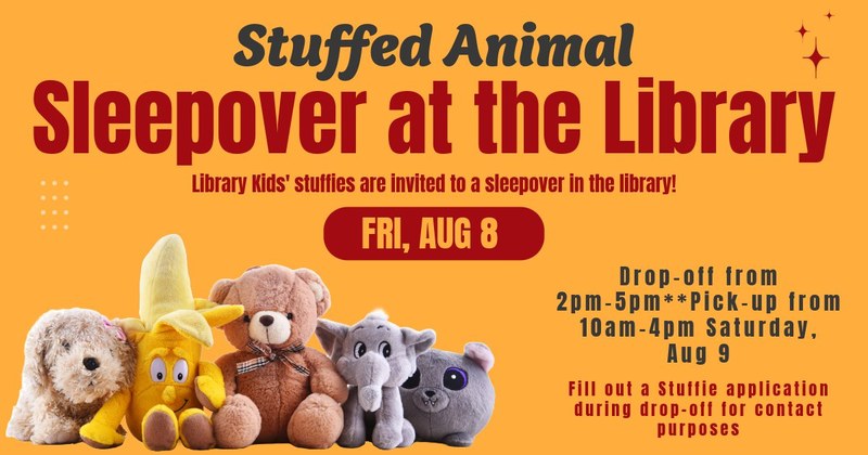Stuffed Animal Sleepover Stuffed Animal Sleepover