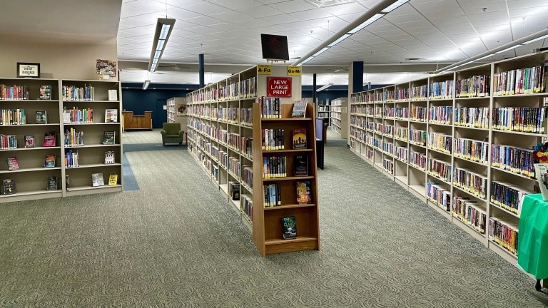 The Library's selection of large print and new books